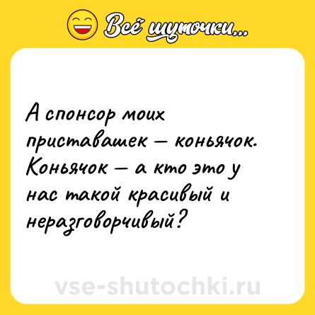 Шутка: А спонсор моих приставашек — коньячок.<br>Коньячок — а кто это у нас такой красивый и неразговорчивый?