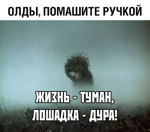 Смешная картинка №357567
