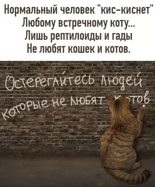 Смешная картинка №780316
