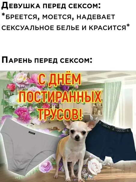 Смешная картинка №623861