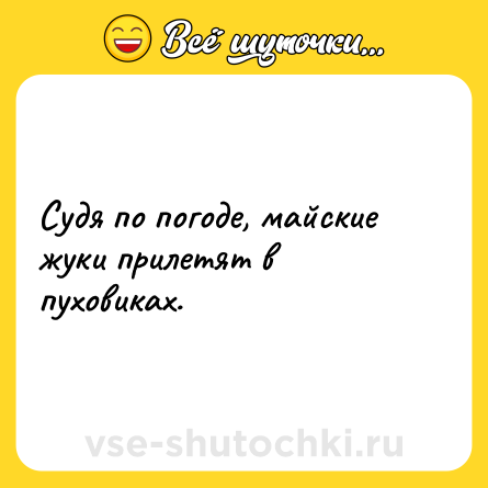 Шутка: Судя по погоде, майские жуки прилетят в пуховиках.