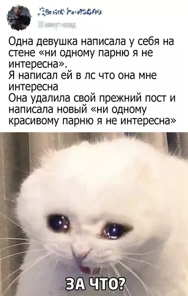 Смешная картинка №583133