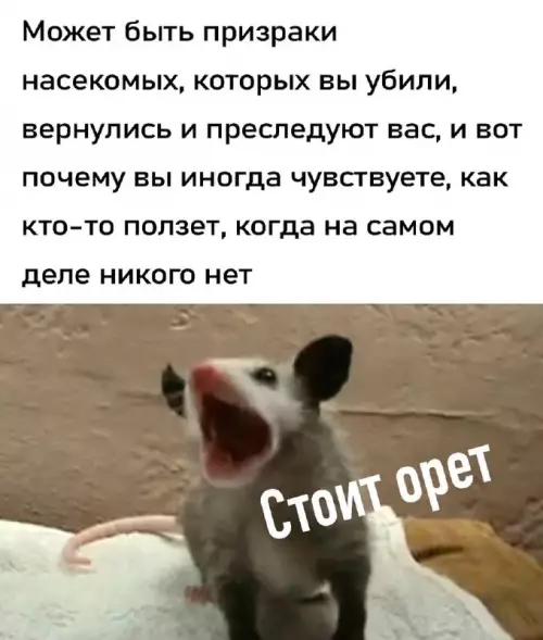 Смешная картинка №698636