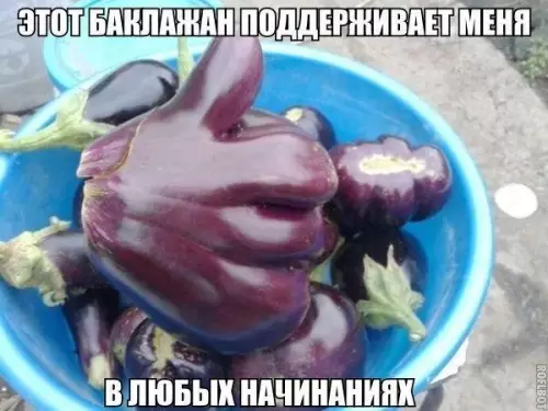 Смешная картинка №197440