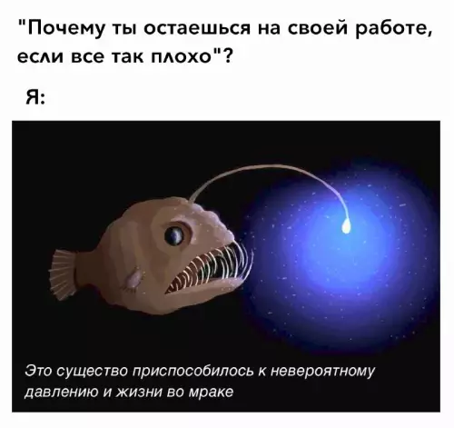 Смешная картинка №680860 Этот мем поймут многие
