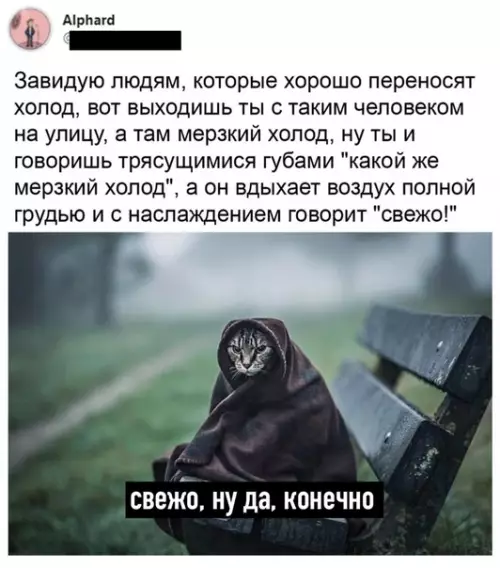 Смешная картинка №534341