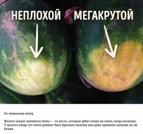 Смешная картинка №196975 Если вы всё еще не научились правильно выбирать арбуз, а на постукивания он вам не отвечает, то эти трюки специально для вас: