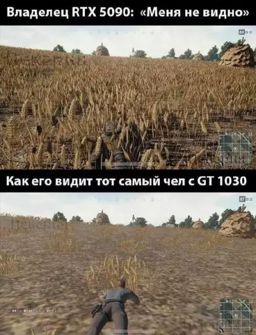 Разные взгляды на одно поле