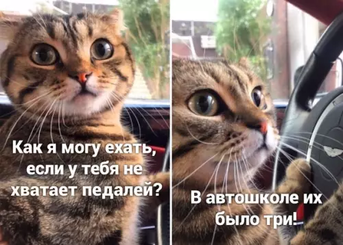 Смешная картинка №504142