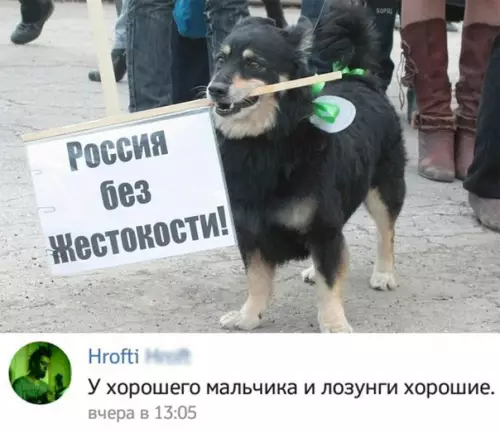 Смешная картинка №243947