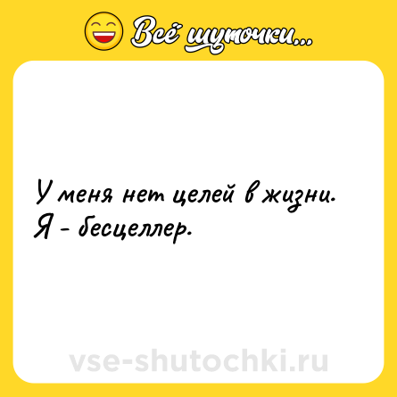 Шутка: У меня нет целей в жизни. Я - бесцеллер.