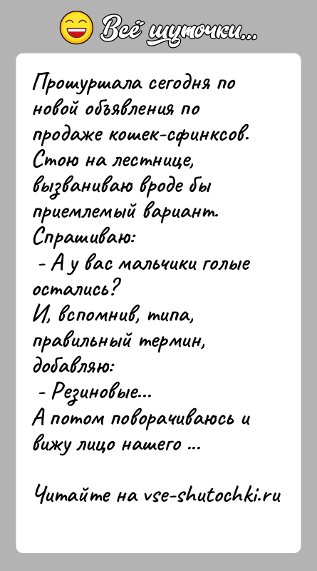 История: Прошуршала сегодня по новой объявления по продаже кошек-сфинксов. Стою на лестнице, вызваниваю вроде бы приемлемый вариант. Спрашиваю: - А у