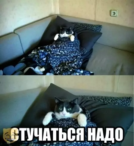Смешная картинка №480251 #приколы #картинки #мемы ?