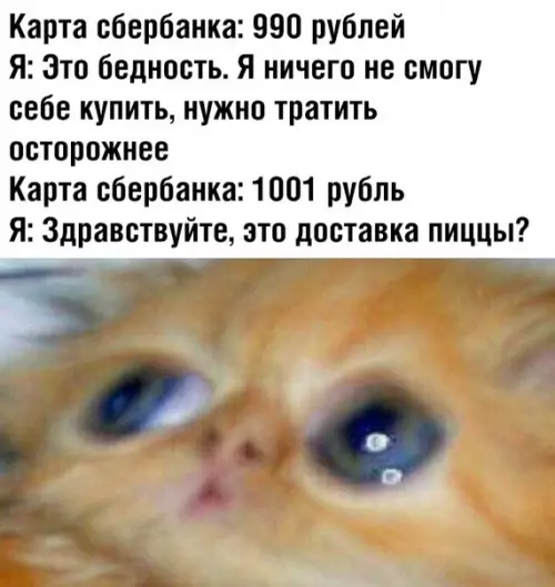 Смешная картинка №357827 Жизненно