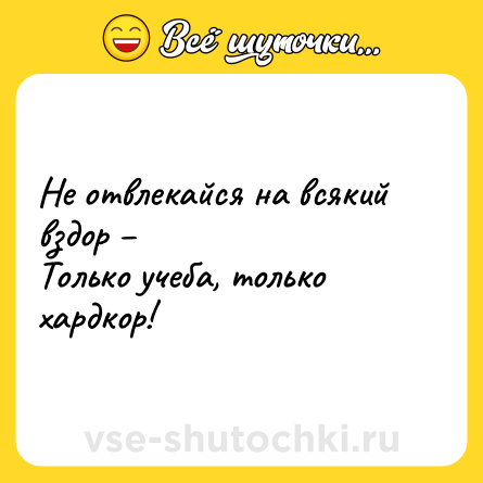 Шутка: Не отвлекайся на всякий вздор – <br>Только учеба, только хардкор!