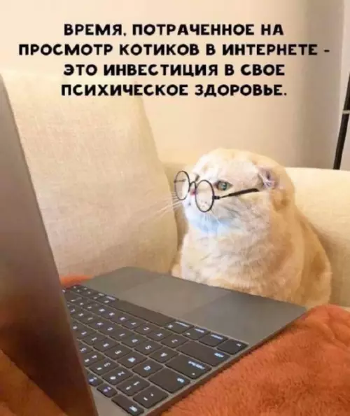 Смешная картинка №712792