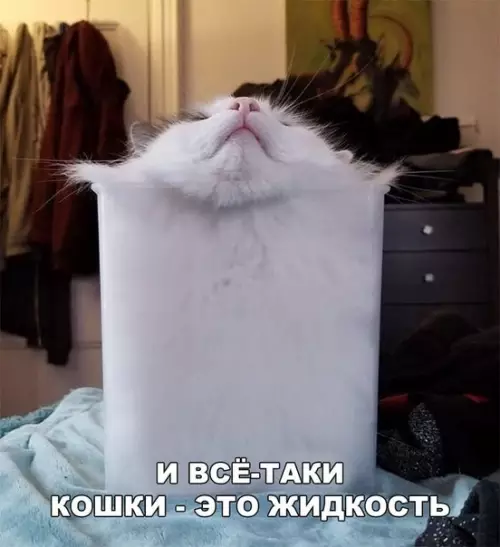Смешная картинка №267788
