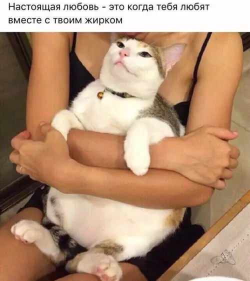 Смешная картинка №225988