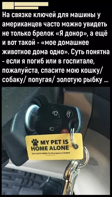 Смешная картинка №756284 А ведь хорошо придумано.