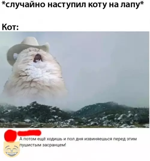 Смешная картинка №371817 #приколы #картинки #мемы ?