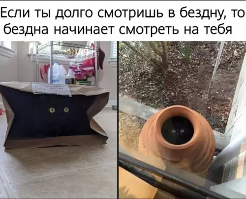 Смешная картинка №528506