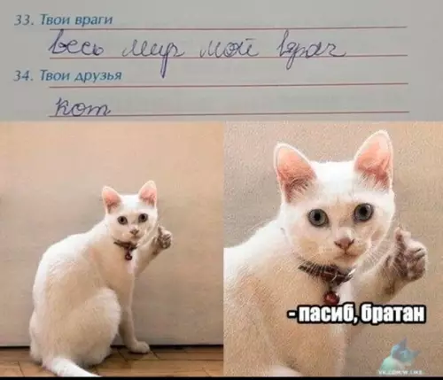 Смешная картинка №396330