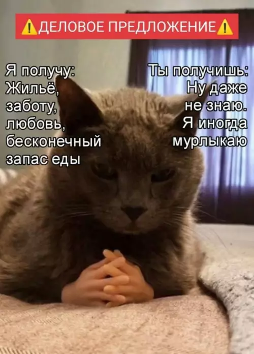 Смешная картинка №786020