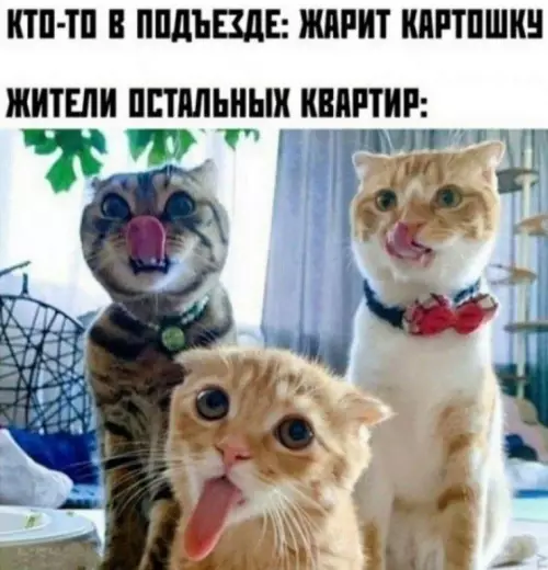 Смешная картинка №773506