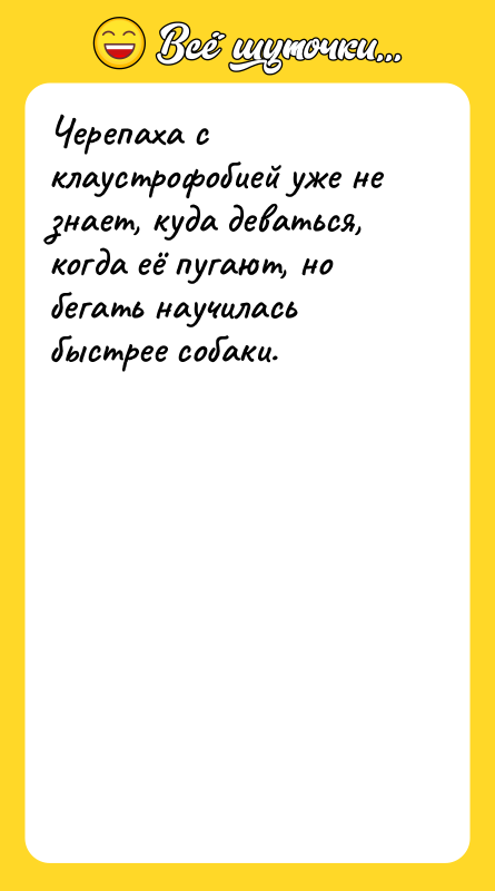 Черепаха с клаустрофобией уже не знает, куда деваться, когда её
