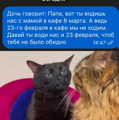 Смешная картинка №712475