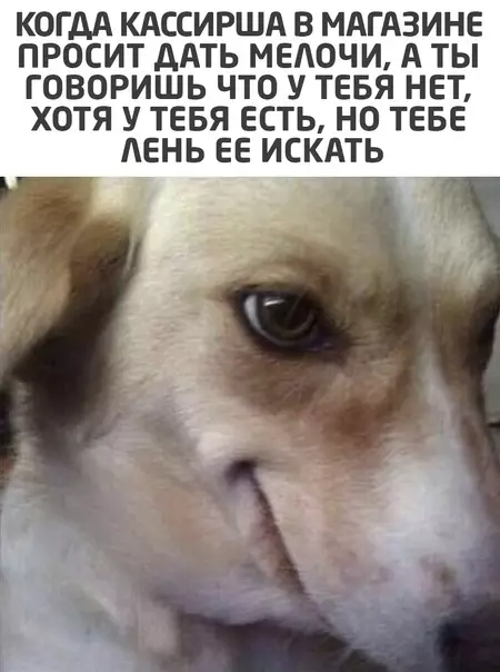 Смешная картинка №552041