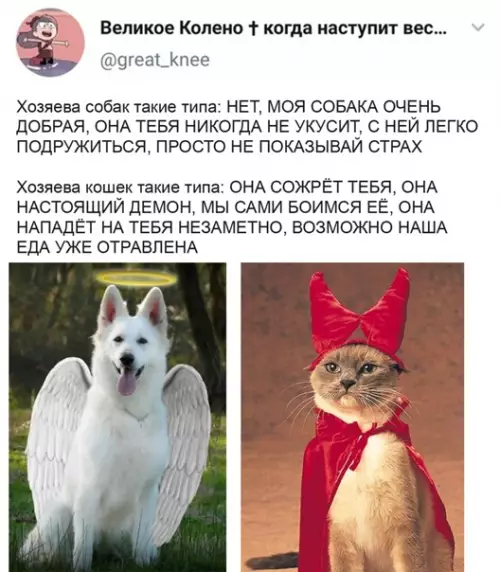 Смешная картинка №548819 Paзницa