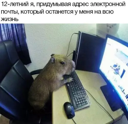 Смешная картинка №672607