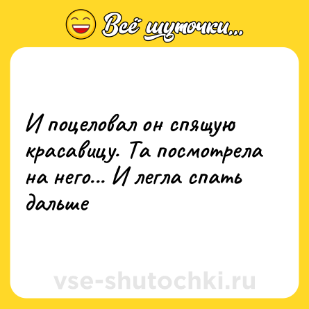 Шутка: И поцеловал он спящую красавицу. Та посмотрела на него... И легла спать дальше