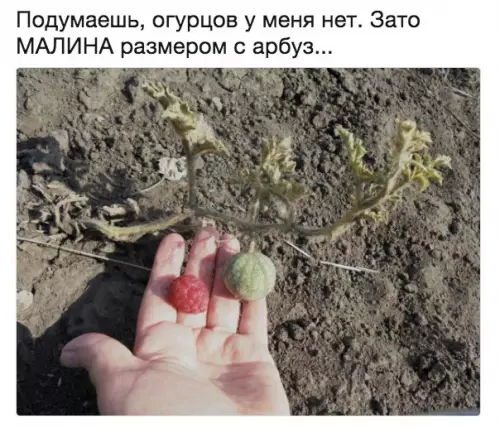 Смешная картинка №386544
