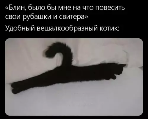 Смешная картинка №742899