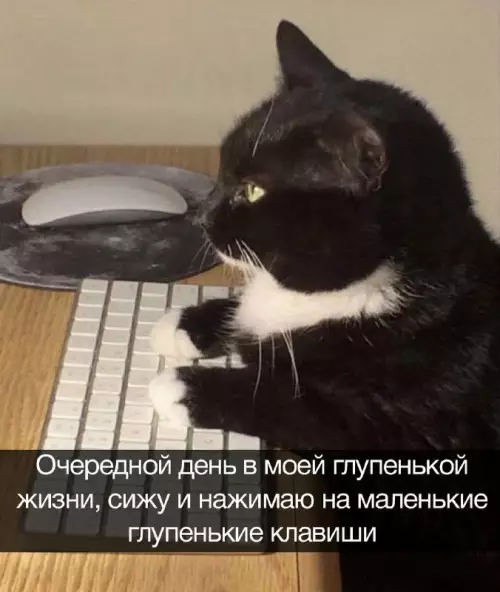 Смешная картинка №689327