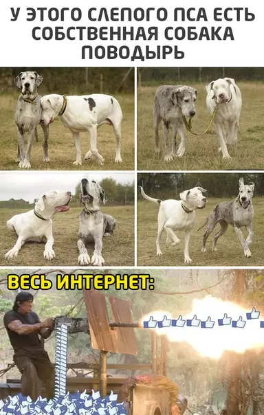 Смешная картинка №535836