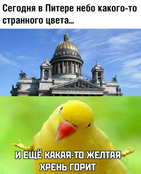 Смешная картинка №473918