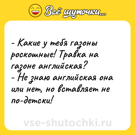 Шутка: - Какие у тебя газоны роскошные! Травка на газоне английская?<br>- Не знаю английская она или нет, но вставляет не по-детски!