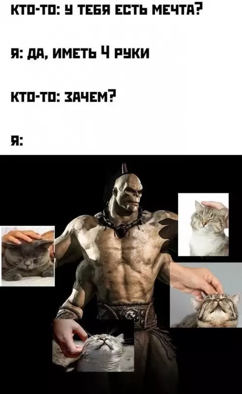 Смешная картинка №600830 Мечта каждой сильной и независимой женщины ?