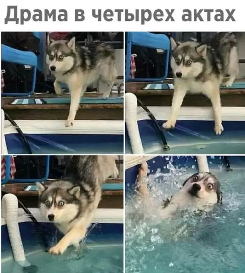 Смешная картинка №254357