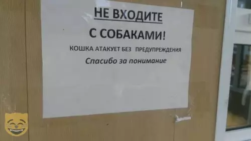 Смешная картинка №390279 #приколы #картинки #мемы ?
