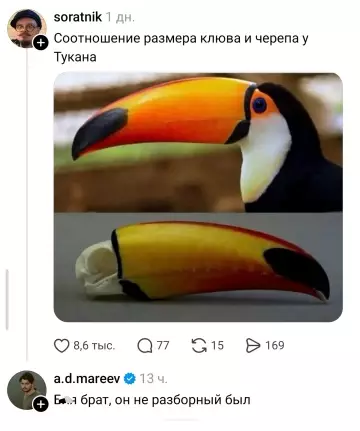 Где у тукана запчасти? 🤔🦜 - soratnik: Соотношение размера клюва и черепа у Тукана. a.d.mareev: Б