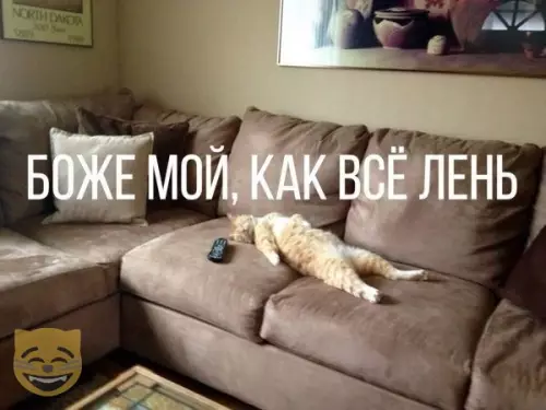 Смешная картинка №346972 #приколы #картинки #мемы ?