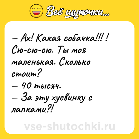 Шутка: — Ах! Какая собачка!!! ! Сю-сю-сю. Ты моя маленькая. Сколько стоит? <br>— 40 тысяч. <br>— За эту хуевинку с лапками?!