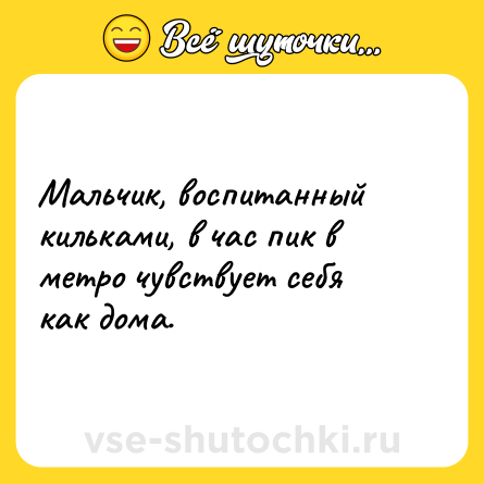 Шутка: Мальчик, воспитанный кильками, в час пик в метро чувствует себя как дома.