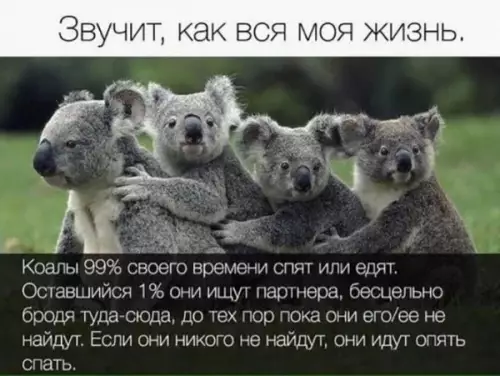 Смешная картинка №643958