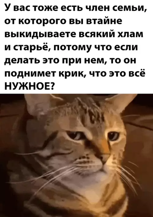 Смешная картинка №681163 Не показывайте этот мем маме