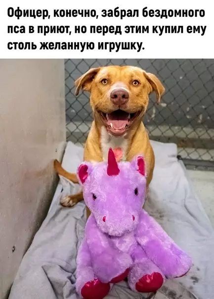 продолжение Смешная картинка №562901 Дoбpoтa дня: